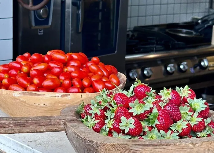 To Be Social House 3*